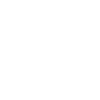 Google Maps Icon